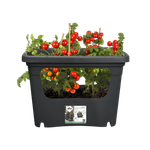 green basics stack & grow large living black